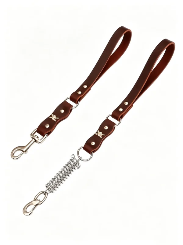 Natural Leather Shock-Absorbing Dog Leash – 16″/20″