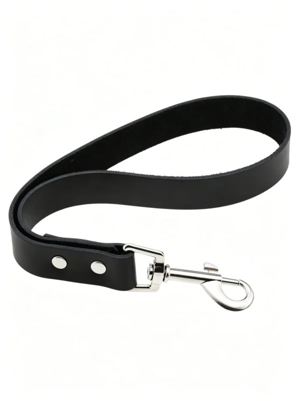 图片信息_副本-compressed Genuine Leather Pet Leash – 11.8″