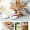 Small Animal Gnaw Toy – Mice, Hamsters & Gerbils