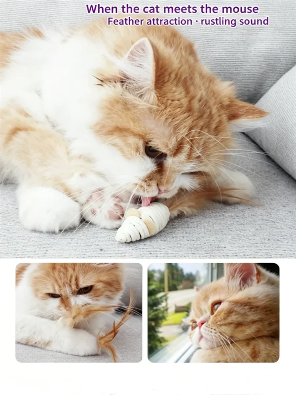 Small Animal Gnaw Toy – Mice, Hamsters & Gerbils