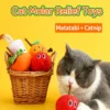 图片处理与卖点提炼 (3)_副本-compressed Silver Vine Cat Chew Toy – Natural, Healthy & Irresistible