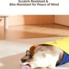 图片处理与卖点提炼 (3)_副本-compressed Hollow Jingle Ball for Cats – Encourages Exercise
