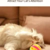 图片处理与卖点提炼 (4)_副本-compressed Hollow Jingle Ball for Cats – Encourages Exercise