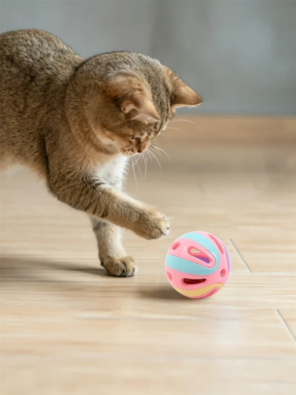 图片处理与卖点提炼 (6)_副本-compressed Hollow Jingle Ball for Cats – Encourages Exercise