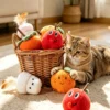 图片处理与卖点提炼 (7)_副本-compressed Silver Vine Cat Chew Toy – Natural, Healthy & Irresistible