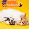 图片处理与卖点提炼_副本-compressed Halloween Catnip Ghost Monster Plush – Spooky & Irresistible