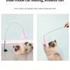 图片处理与翻译 (12)_副本-compressed Suction Cup Cat Teaser Wand with Feather – Self-Play Interactive Toy