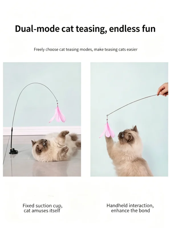 图片处理与翻译 (12)_副本-compressed Suction Cup Cat Teaser Wand with Feather – Self-Play Interactive Toy
