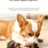 图片处理与翻译 (1)_副本-compressed Woven Cotton Puppy Teething Rope – Durable & Safe
