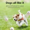 图片处理与翻译 (1)_副本-compressed Indestructible Bouncy Ball for Dogs – Heavy-Duty Rubber