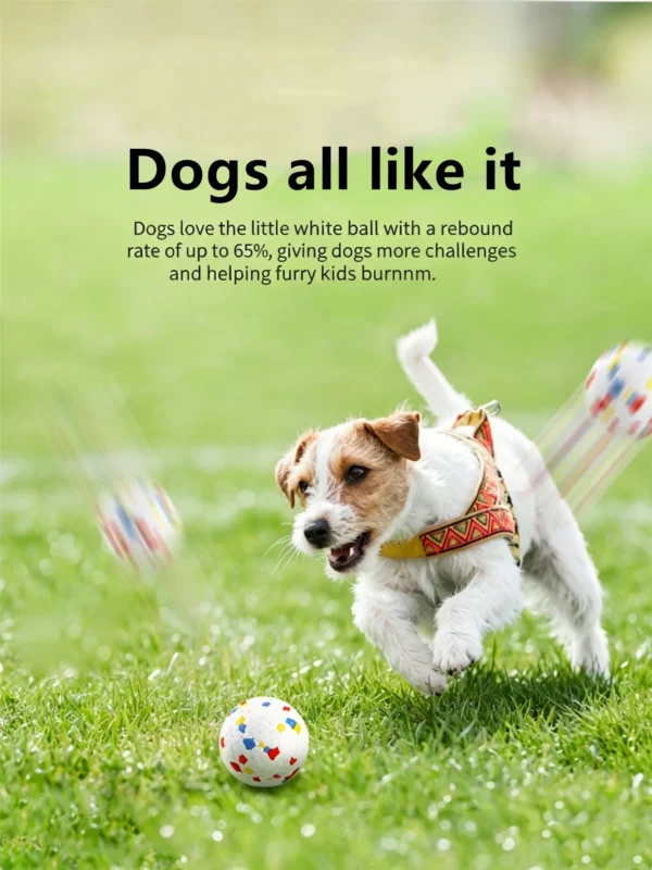 图片处理与翻译 (1)_副本-compressed Indestructible Bouncy Ball for Dogs – Heavy-Duty Rubber