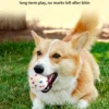 图片处理与翻译 (2)_副本-compressed Indestructible Bouncy Ball for Dogs – Heavy-Duty Rubber