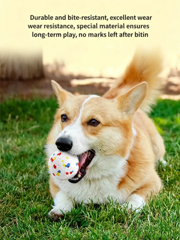 图片处理与翻译 (2)_副本-compressed Indestructible Bouncy Ball for Dogs – Heavy-Duty Rubber