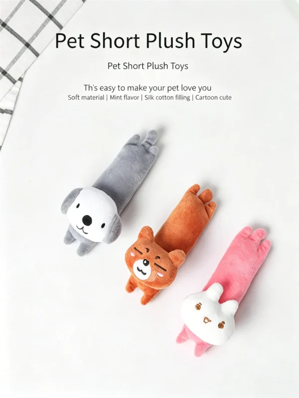 Catnip Toy for Cats – Premium Quality