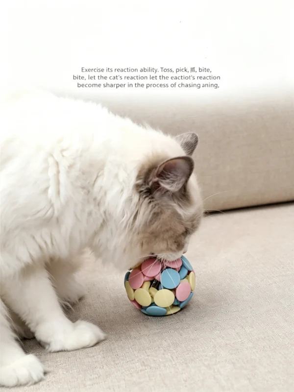 图片处理与翻译 (3)_副本-compressed Tricolor Macaron Woven Ball with Jingle Bell – Cat Toy