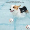 图片处理与翻译 (4)_副本-compressed Indestructible Bouncy Ball for Dogs – Heavy-Duty Rubber