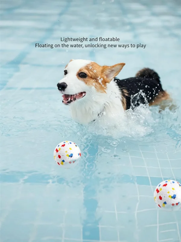 图片处理与翻译 (4)_副本-compressed Indestructible Bouncy Ball for Dogs – Heavy-Duty Rubber