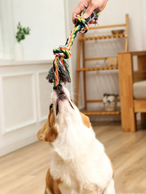 图片处理与翻译 (5)_副本-compressed Woven Cotton Puppy Teething Rope – Durable & Safe
