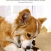 图片处理与翻译 (6)_副本-compressed Pet Companion Plush Toy – Relieves Loneliness