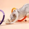 图片处理与翻译 (6)_副本-compressed Self-Play Rope Chew Toy for Cats – Keeps Kitty Busy & Happy