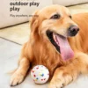 图片处理与翻译 (6)_副本-compressed Indestructible Bouncy Ball for Dogs – Heavy-Duty Rubber