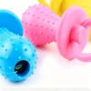Pacifier-shaped toy with a bell
