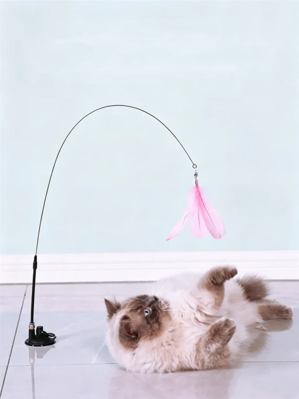 图片处理与翻译 (7)_副本-compressed Suction Cup Cat Teaser Wand with Feather – Self-Play Interactive Toy