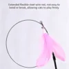 图片处理与翻译 (8)_副本-compressed Suction Cup Cat Teaser Wand with Feather – Self-Play Interactive Toy