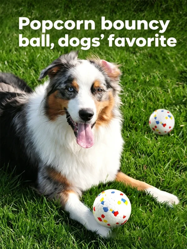 图片处理与翻译_副本-compressed Indestructible Bouncy Ball for Dogs – Heavy-Duty Rubber