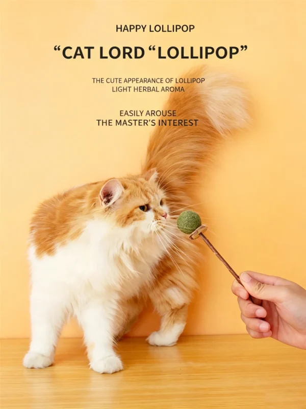 图片处理需求 (11)_副本-compressed Cats’ Natural Favorite – Catnip Ball Toy