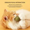 图片处理需求 (12)_副本-compressed Cats’ Natural Favorite – Catnip Ball Toy
