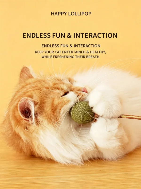 图片处理需求 (12)_副本-compressed Cats’ Natural Favorite – Catnip Ball Toy