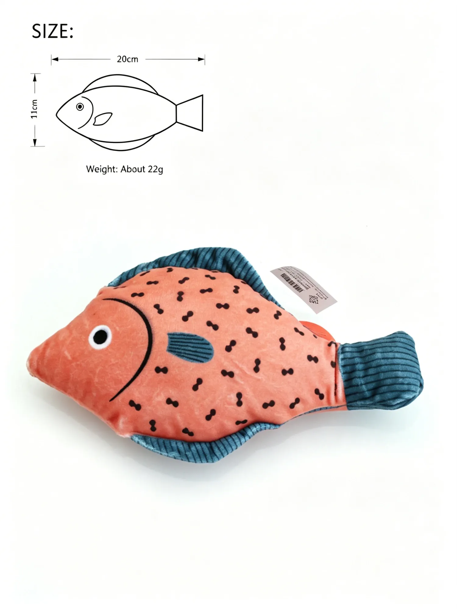 Fish7
