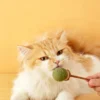 图片处理需求 (13)_副本-compressed Cats’ Natural Favorite – Catnip Ball Toy