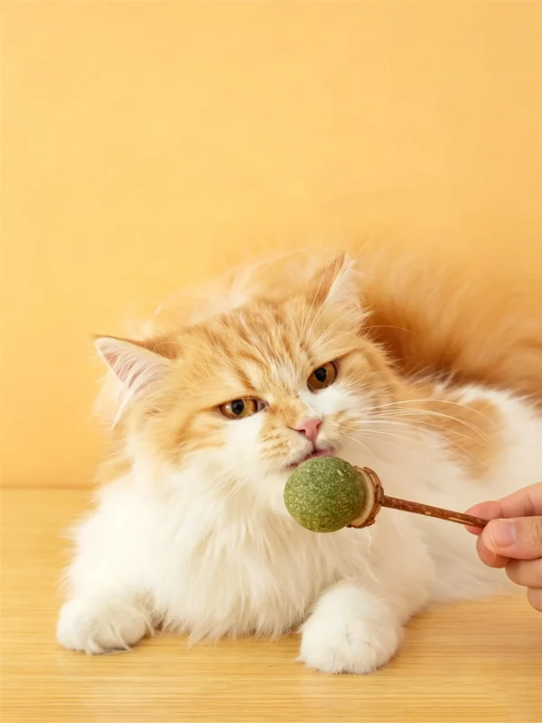 图片处理需求 (13)_副本-compressed Cats’ Natural Favorite – Catnip Ball Toy