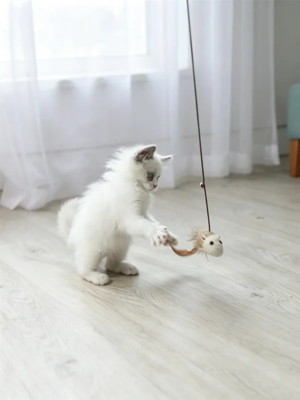 Wooden Handle Cat Teaser Wand – Interactive Toy for Cats