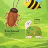 图片处理需求 (1)_副本-compressed Insect Series Catnip Chew Toy – Realistic Bug Shapes for Cats