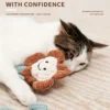 Catnip Plush Toy Series – Soft Interactive Cat Toys Collection