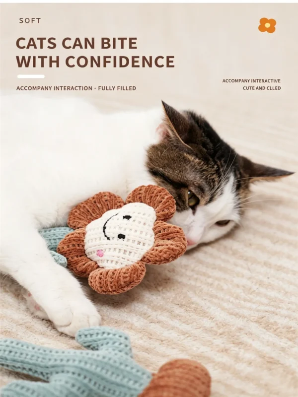 Catnip Plush Toy Series – Soft Interactive Cat Toys Collection