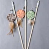 Wooden Cat Teaser Wand for Indoor Cats
