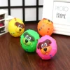 图片处理需求 (2)_副本-compressed Squeaky Dog Face-Shaped Ball Toy for Pets – Soft & Fun