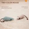 Catnip Plush Toy Series – Soft Interactive Cat Toys Collection