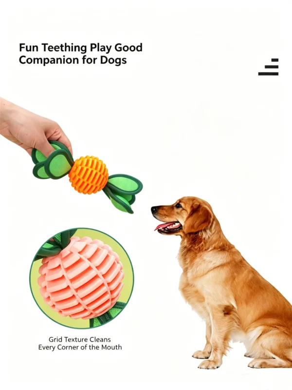 图片处理需求 (7)_副本-compressed Squeaky Candy Carrot Toy – Interactive Fun for Cats