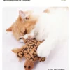 Catnip & Silver Vine Toy – Dual Herbal Blend for Happy Cats