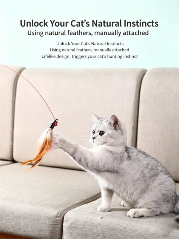 Assorted Cat Teaser Wands – 8 Styles to Choose From