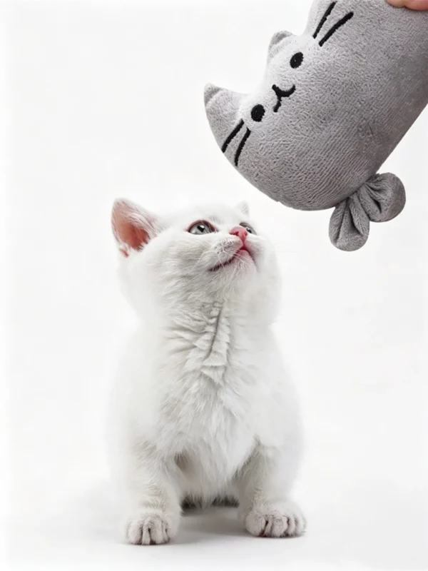 图片处理需求_副本-compressed Catnip Plush Toy – Short & Soft for Small Cats