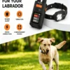 Remote Control Dog Barking Device