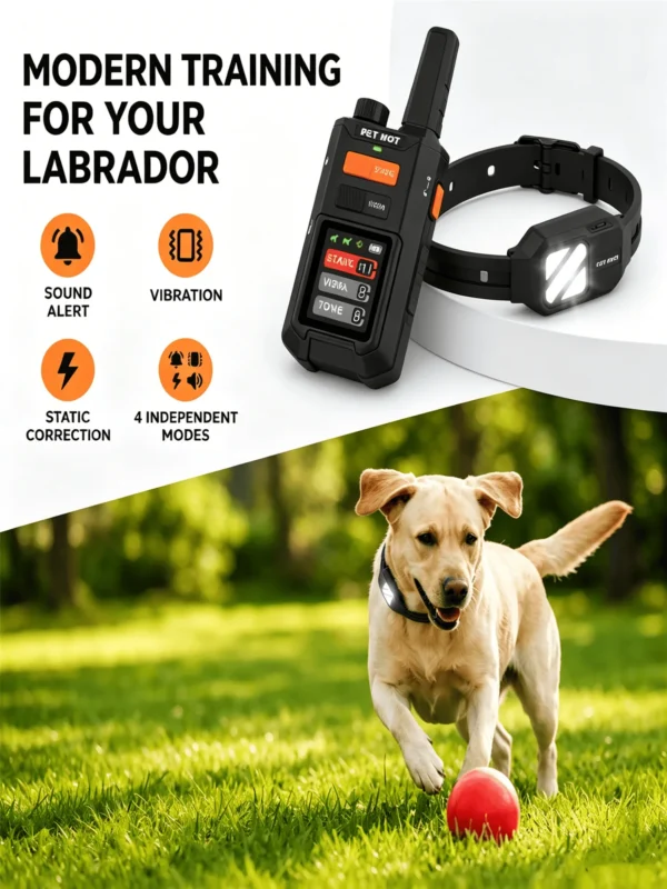 Remote Control Dog Barking Device