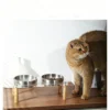 304 Stainless Steel Acrylic Raised Pet Bowl 6.8oz×2
