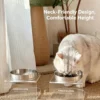 304 Stainless Steel Pet Bowl with Acrylic Stand 6.8 Ounces